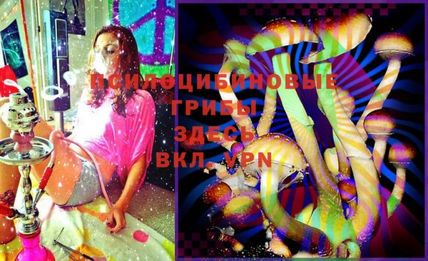 мдпв Каменка