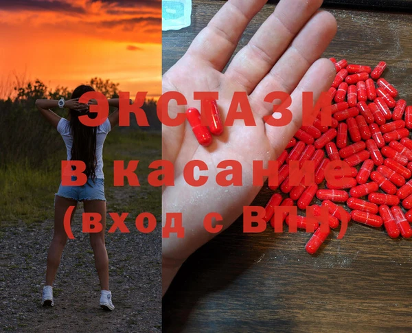 мдпв Каменка