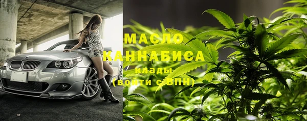 мдпв Каменка