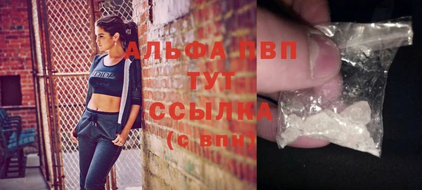 мдпв Каменка