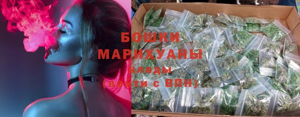 винт Инсар