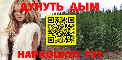 сатива Пыть-Ях