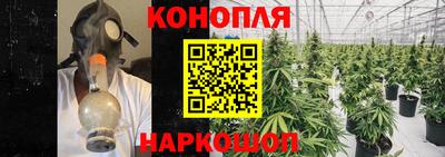 сатива Пыть-Ях