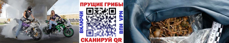 МЕГА маркетплейс закладка Лиски Псилоцибиновые грибы Magic Shrooms