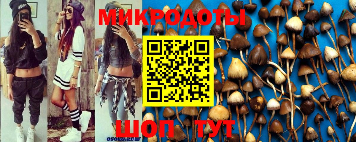 Галлюциногенные грибы Magic Shrooms Лиски